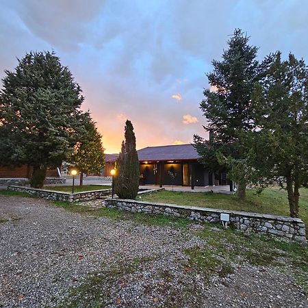 Orino Livadi Mount Villa IV Arakhova Eksteriør bilde
